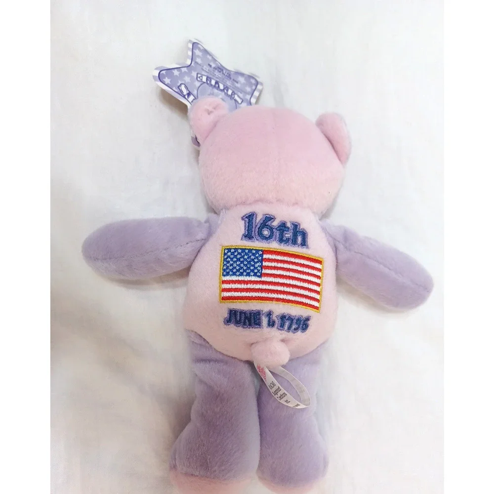 Sugar Loaf Two Bits Tennessee 16th USA Flag Pink Purple Plush Bear 8 1/2